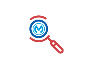 How Does MuleSoft Work